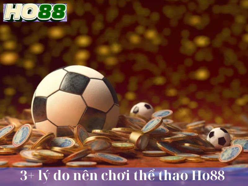 3+ lý do nên chơi thể thao Ho88