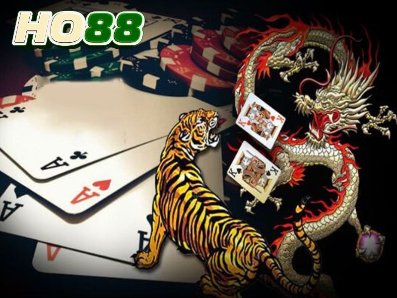 Chiến thuật chơi Rồng Hổ dễ thắng tại nhà cái Ho88