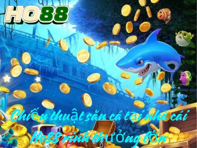 Chiến thuật săn cá tại nhà cái Ho88 rinh thưởng lớn