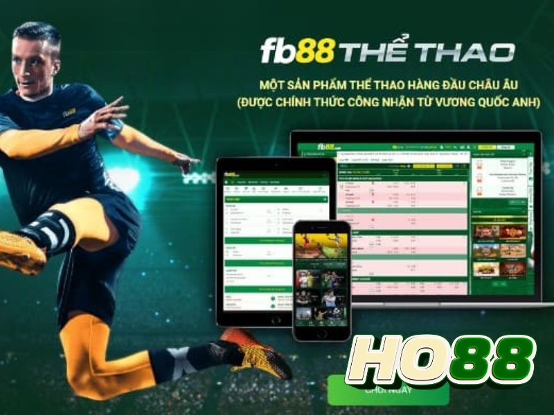 FB88: Cá cược bóng đá trực tuyến mọi lúc mọi nơi
