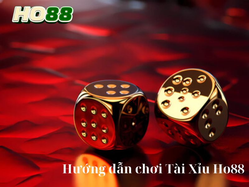 Hướng dẫn chơi Tài Xỉu Ho88 đúng chuẩn như cược thủ cao tay
